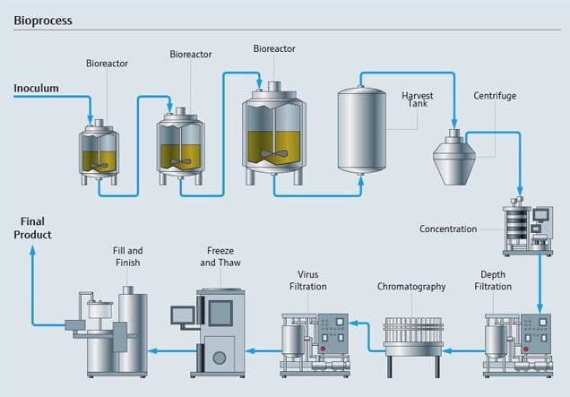 The largest and innovative measurement offering for bioprocesses ...